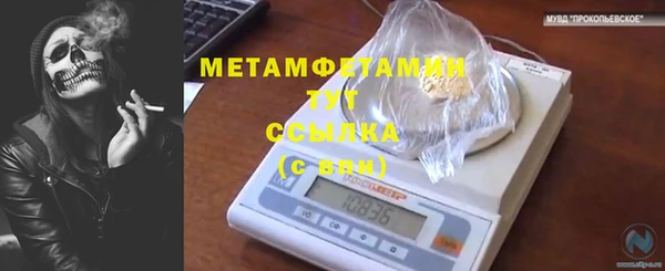 COCAINE Богородицк